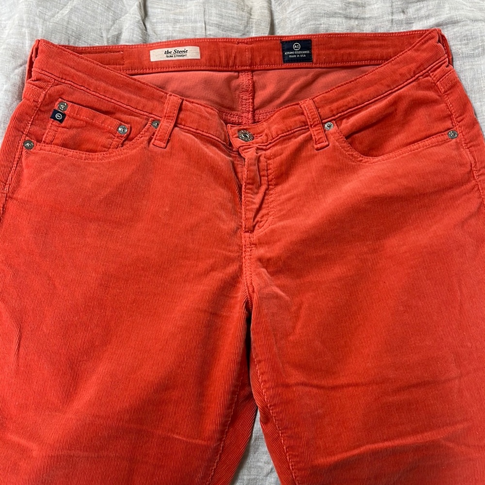 Adriano Goldschied slim straight cords